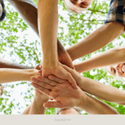 Le team building : renforcer la cohésion d'équipe
