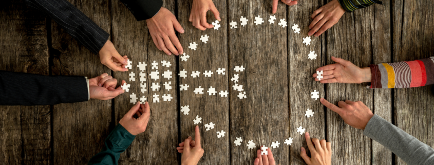 Article 7 – Juillet 2024